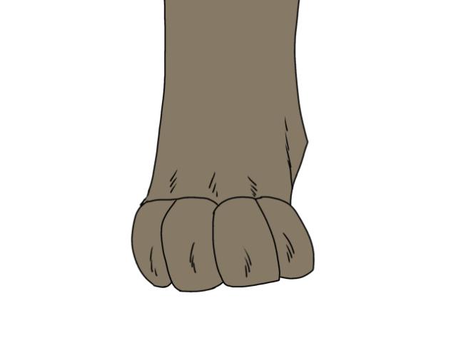 Animation WIP again