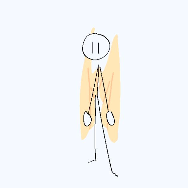 Wing practice tingamabob
