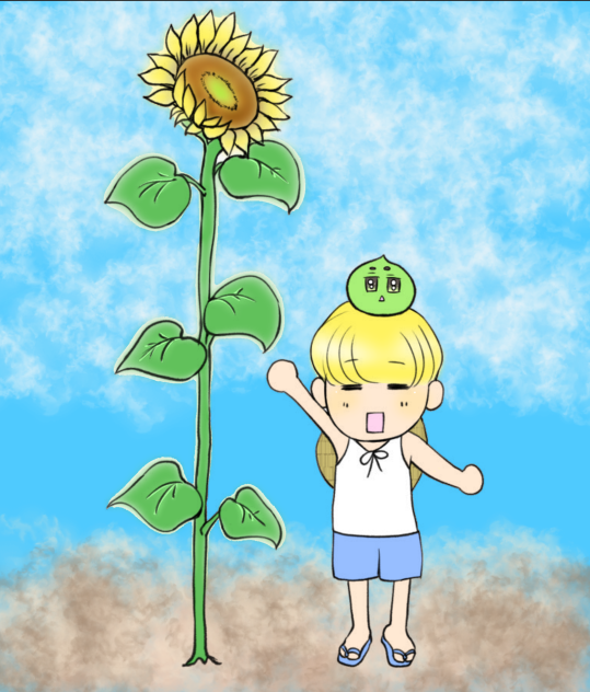 ひまわり