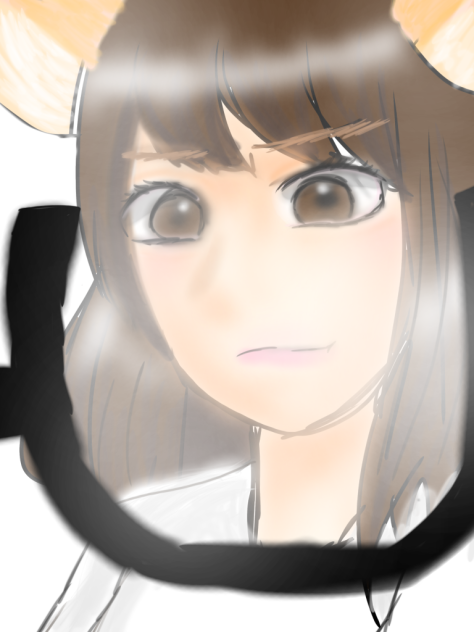 どんぎつねさん