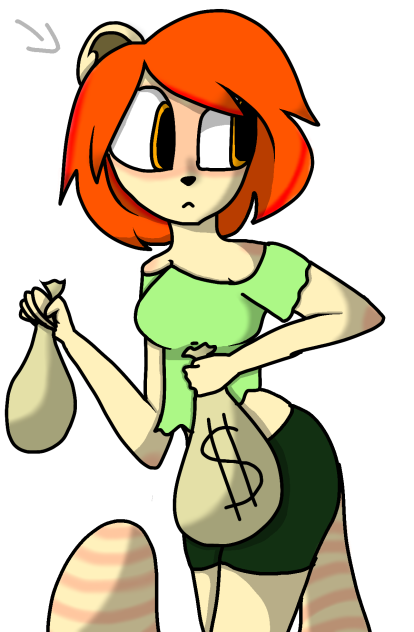 raccoon thief