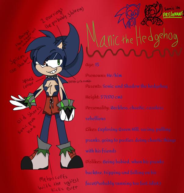 Manic the Hedgehog