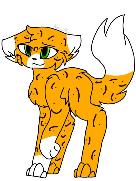 Not my base it’s by my partner