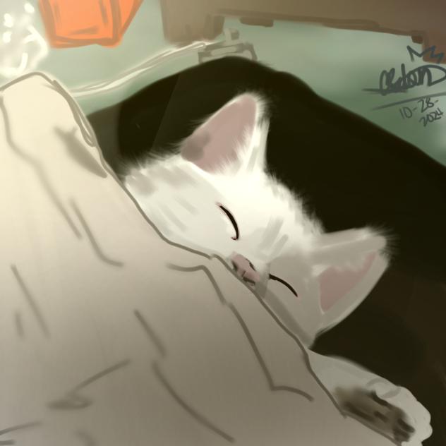 eepy cat🐱💤