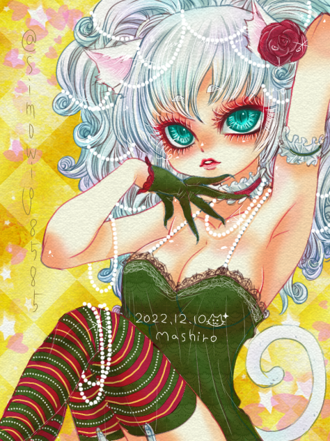 メリクリ仕様のましろたんっ❤️🐱🎄✨