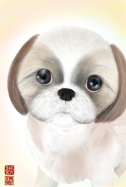 シーズー君(完成作品の修正)