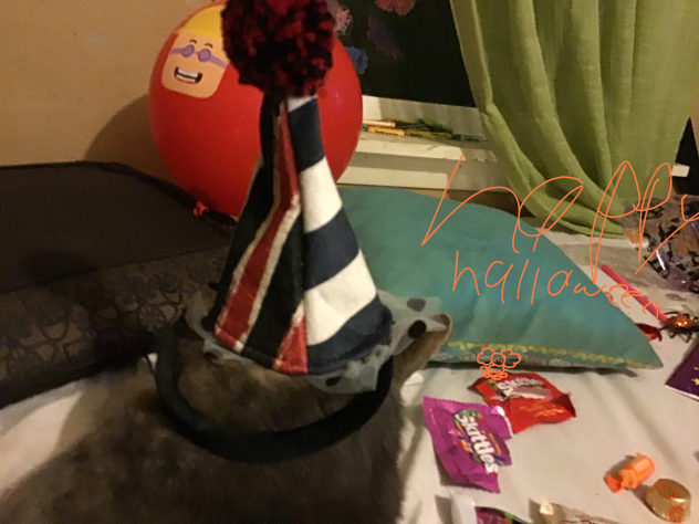 Happy Halloween!