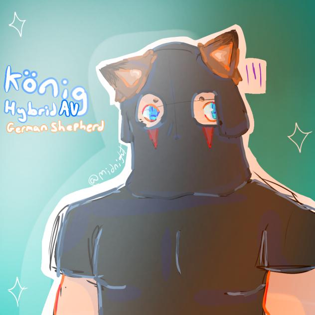könig 🫪