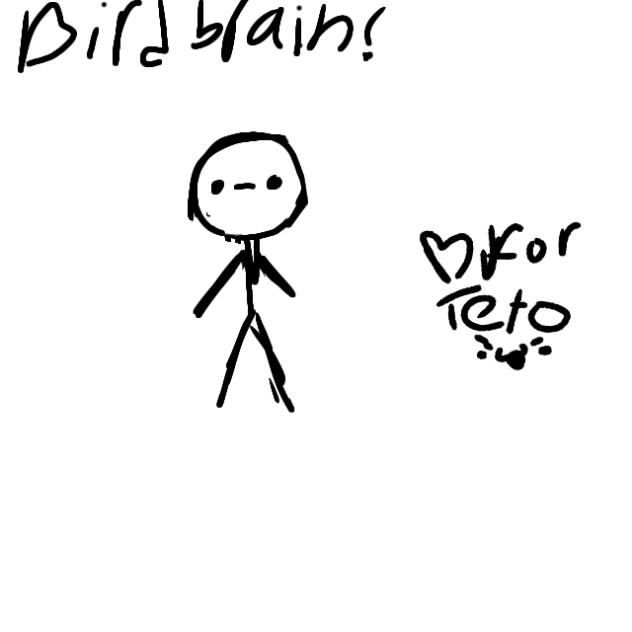 BIRDBRAIN! (finished work)