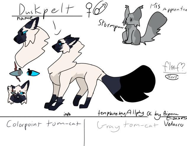 Duskpelt and Stormpaw