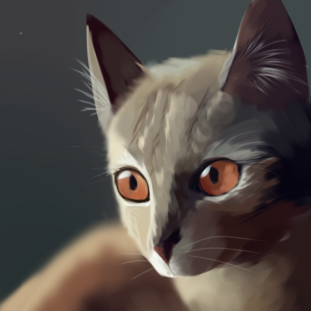trying to draw a cat for the first time - ibisPaint