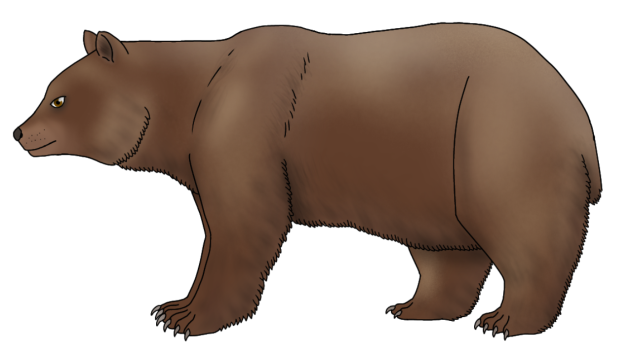 Grizzly Bear render