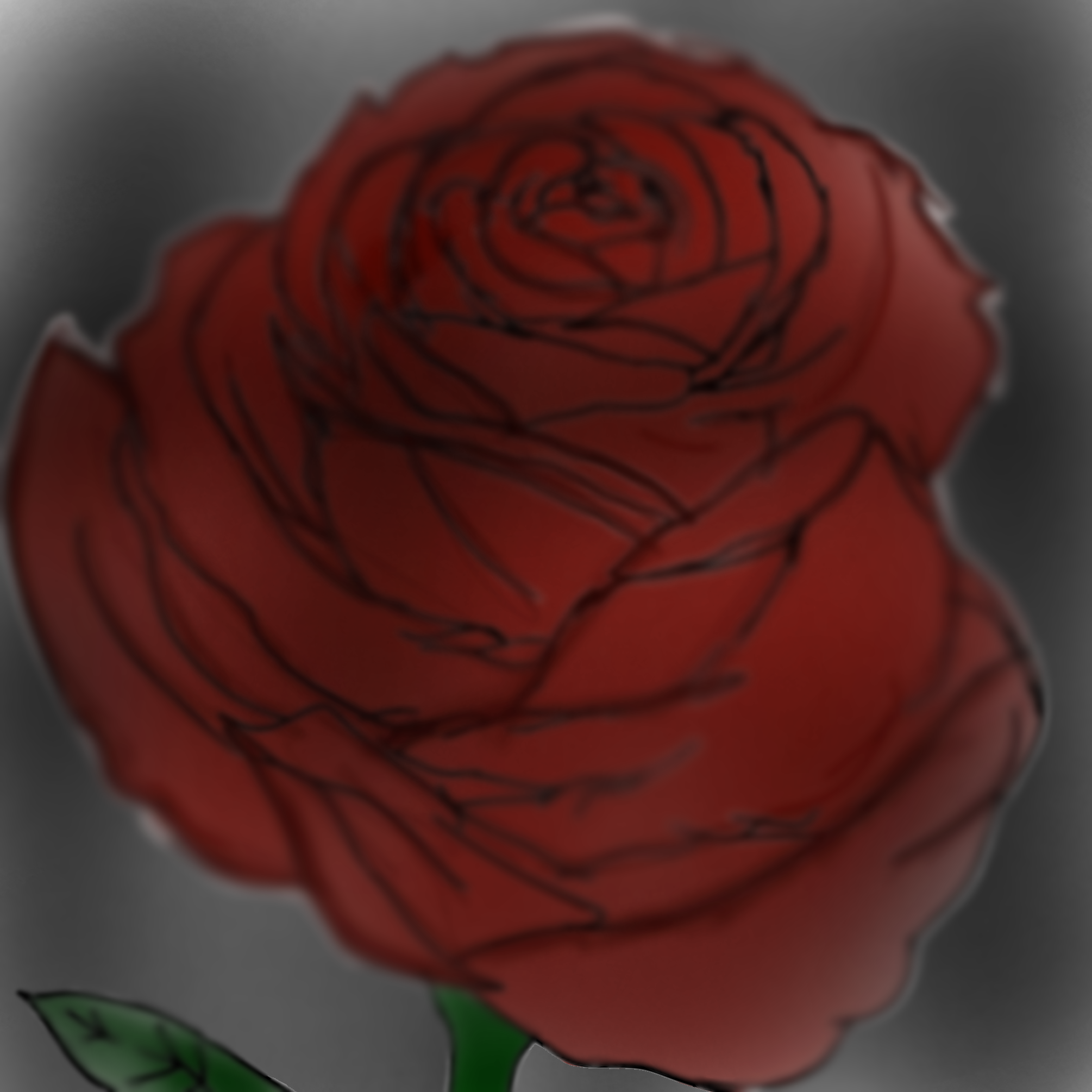 Rose 🥀 - ibisPaint