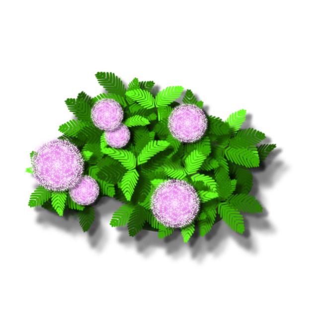 Plant Memosa Material Sticker 2