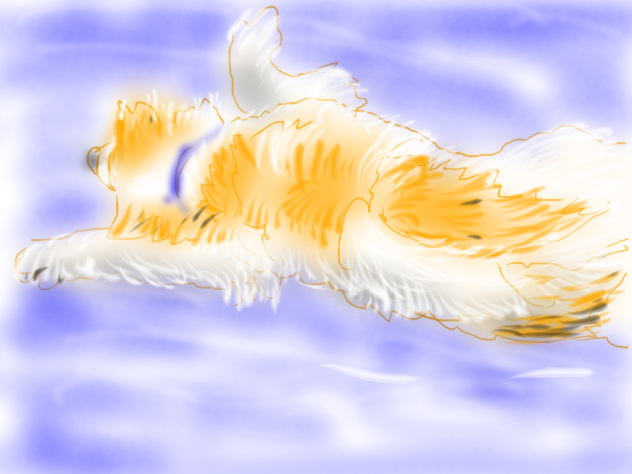宙（そら）を泳ぐ老犬