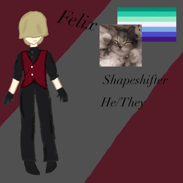 My OC Felix