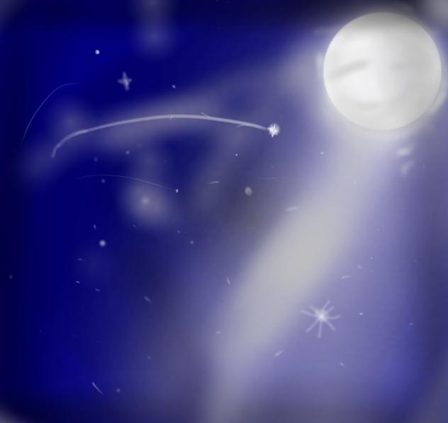 moonlit night