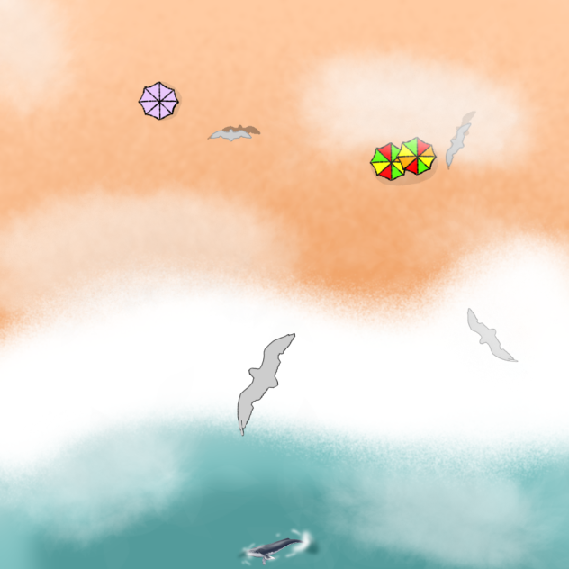 The beach on a birds eye view