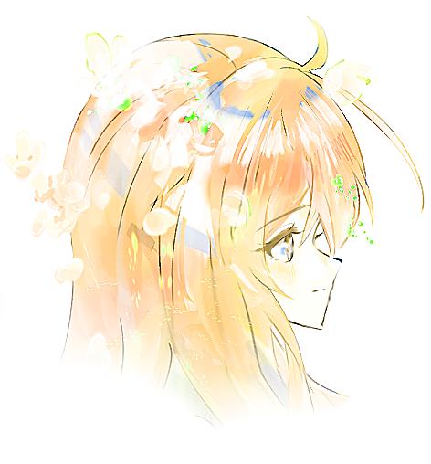 The world we cut out is connect