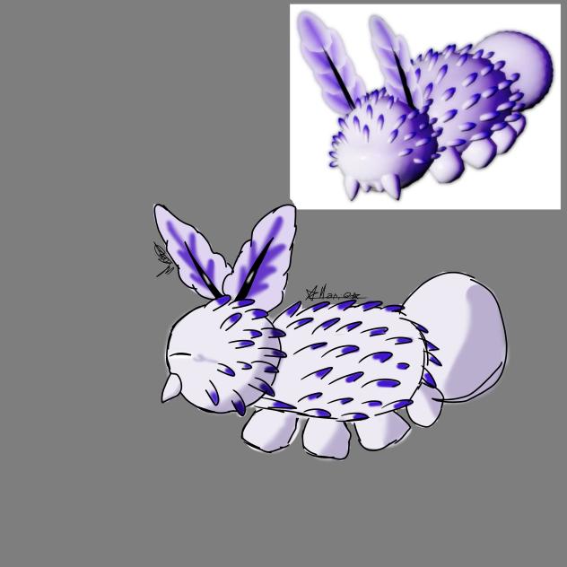 sea bunny from pressure