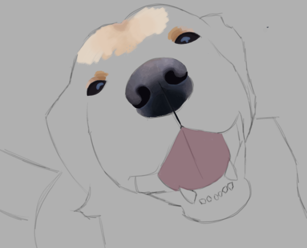Progress of Realistic Golden Retriever!!