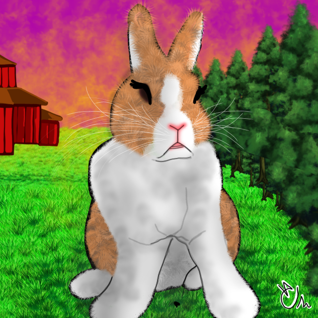 What's so Bunny