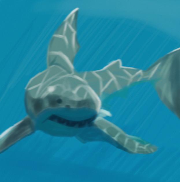 🦈