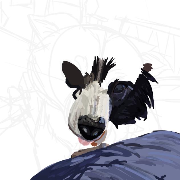 Drawing my dog
