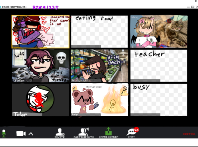 Zoom Meeting Collab