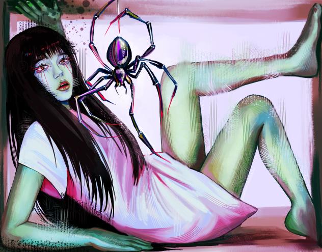 Spider