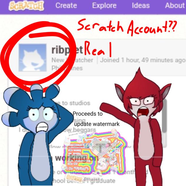 ScRoTtScH ACCOUNT ❓❓‼️‼️