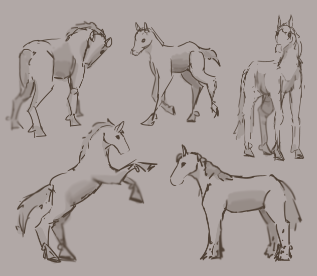 horse practice - ibisPaint