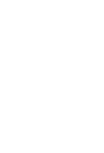 Winter snow flakes (white)