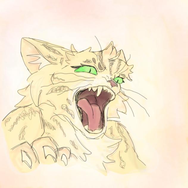 Warrior cats oc   Savannah