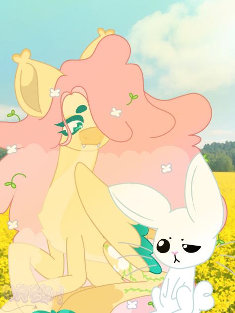 •Meadow•