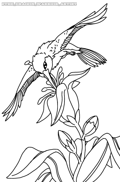 Hummingbird Coloring Sheet