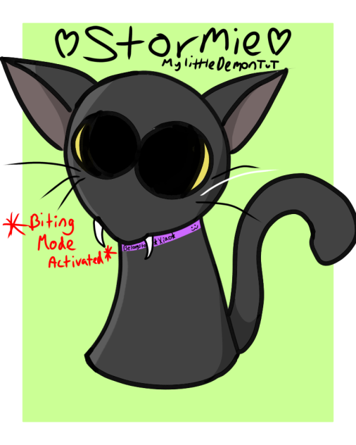 POV My cat anytime he sees my legs