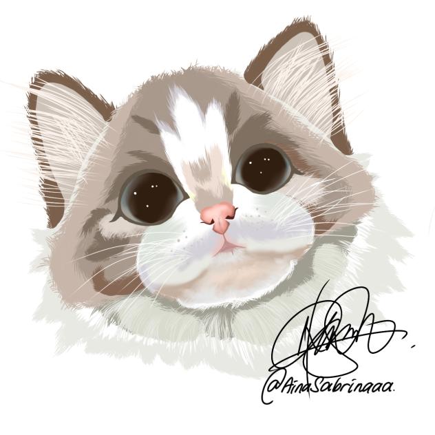 Meowww にゃー