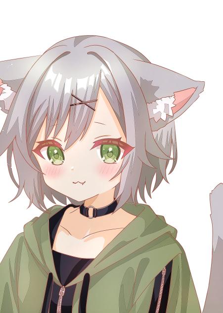 にゃん🐈₎₎₎₎