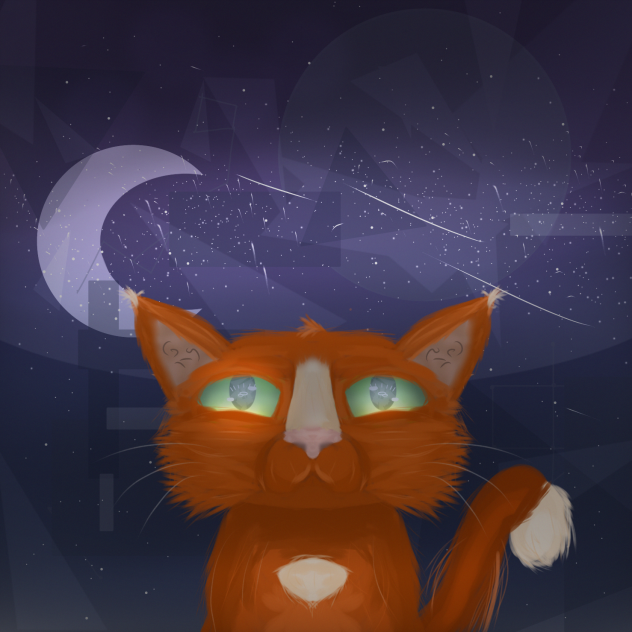 🐈 🌌