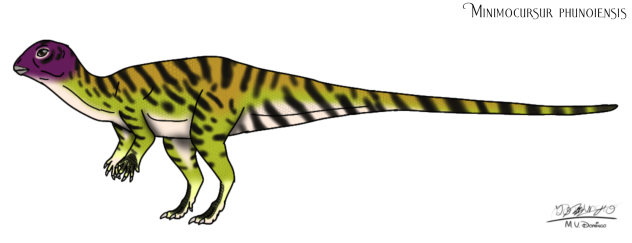 Minimocursur phunoiensis resize