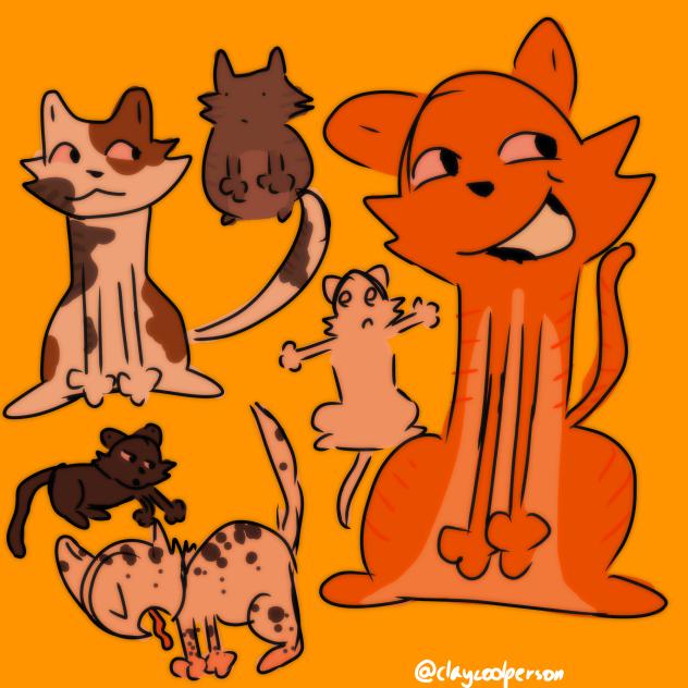 Kittys