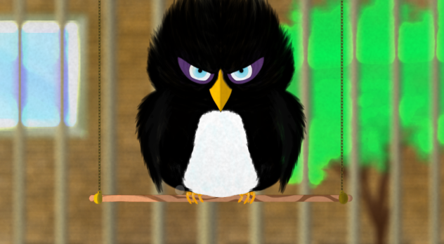 Paco 😀👍