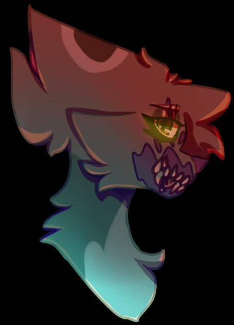 crookedstar 🤩