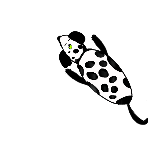 dalmatian w butterfly on head❤️