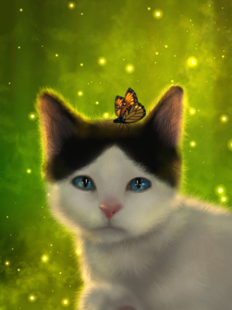 Kitten and butterfly