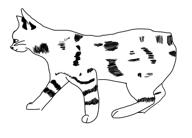 Manx cat( traced)