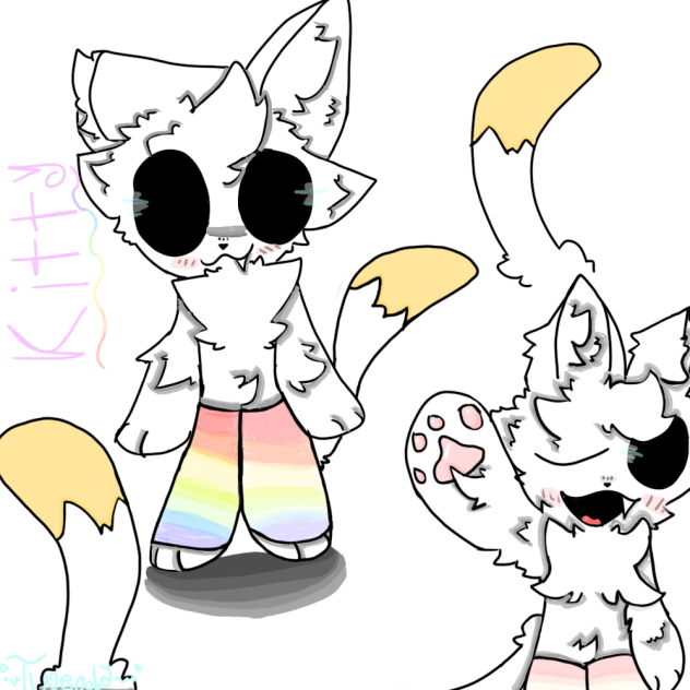 ○`~Kitty~`○