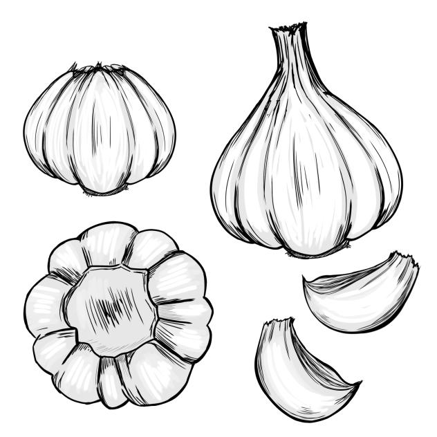 garlics