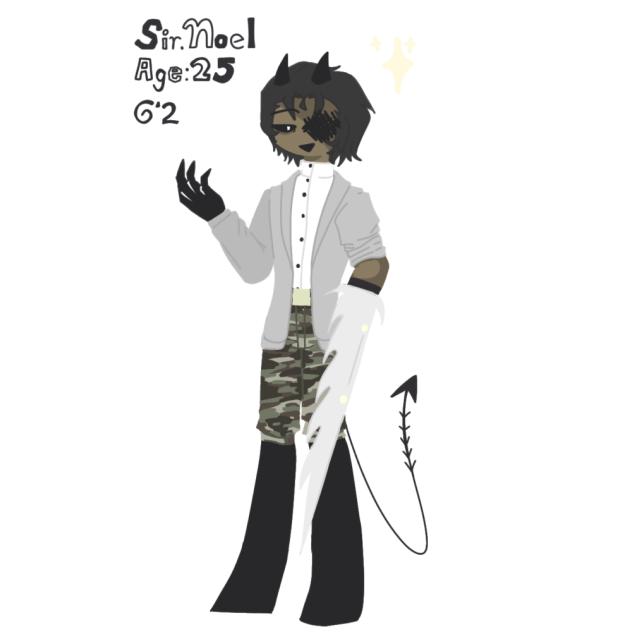 Mr.Noel human version